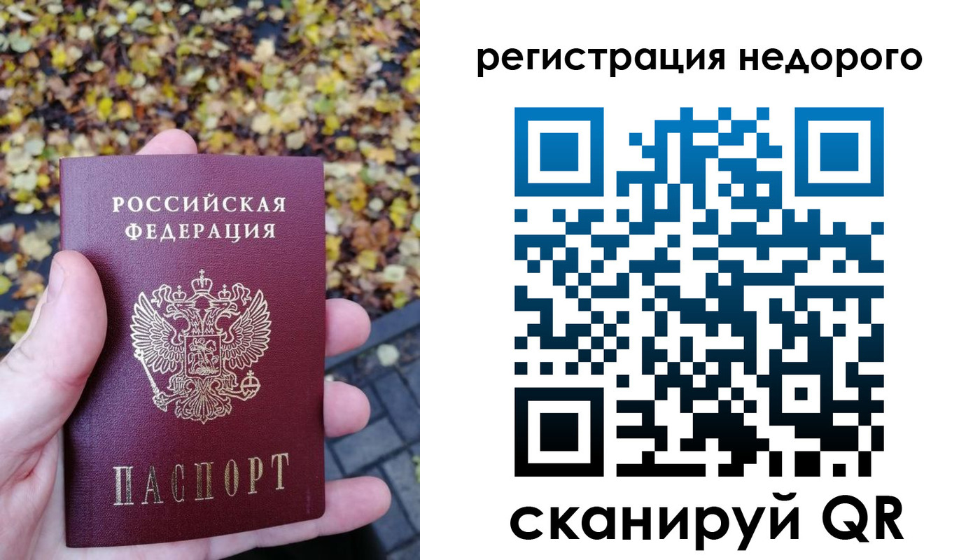 прописка для школы в Мончегорске