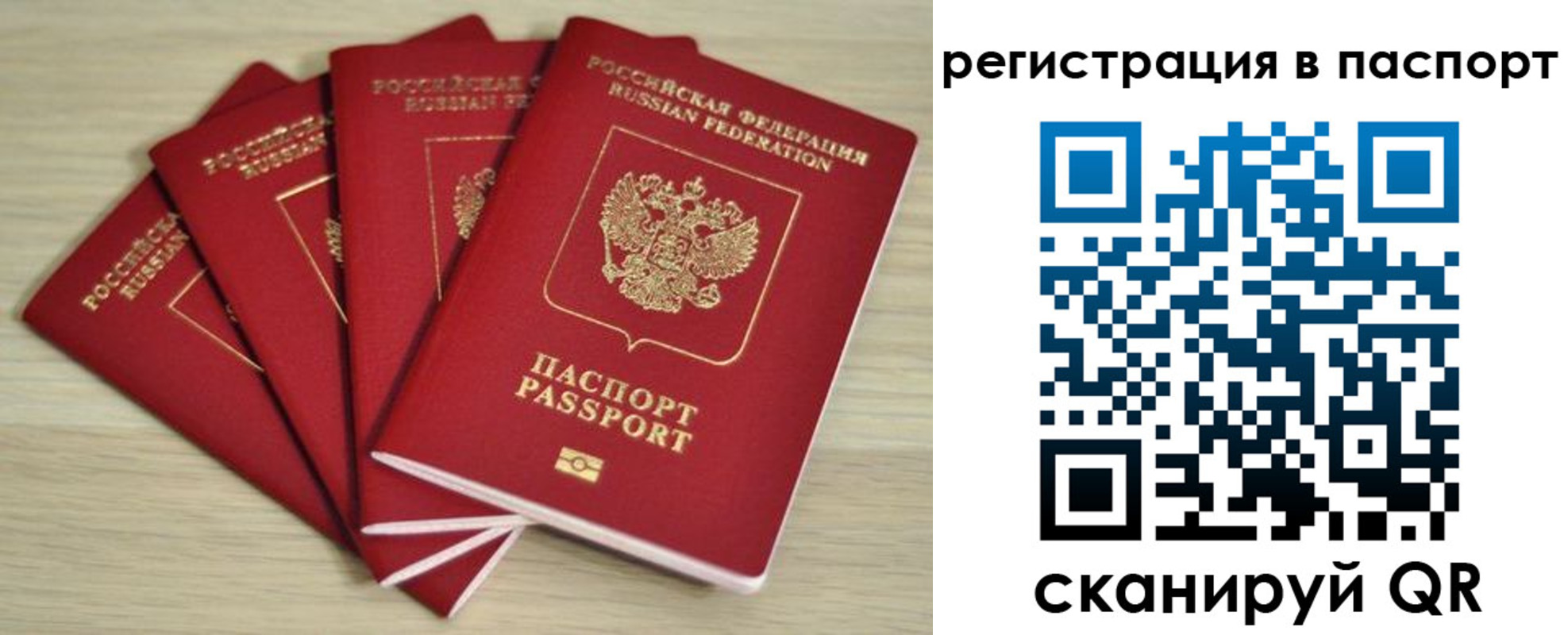 временная регистрация для школы в Мончегорске